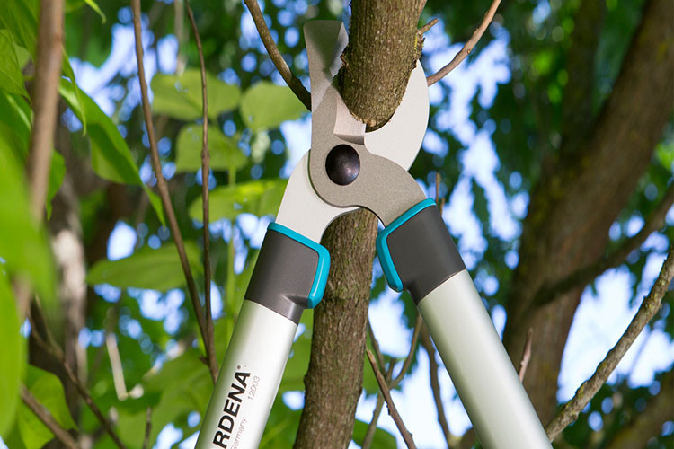 Kéo cắt cành cán dài 68cm Gardena 12003-20